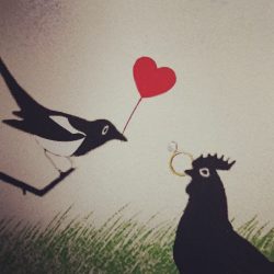 Magpie And Cock